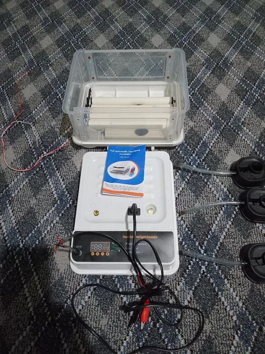 Сотилади инкубатор хизматими бор орзон ва сифатли