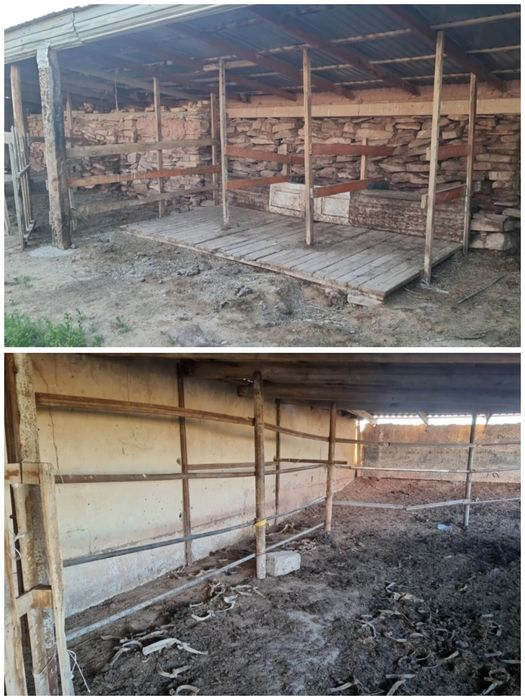 Фазенда, дача, үй