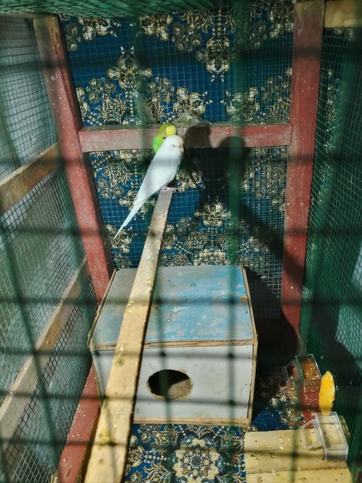 обмен или сатилади