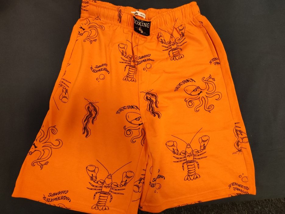 Pantaloni scurți și tricouri băiat  marime 158