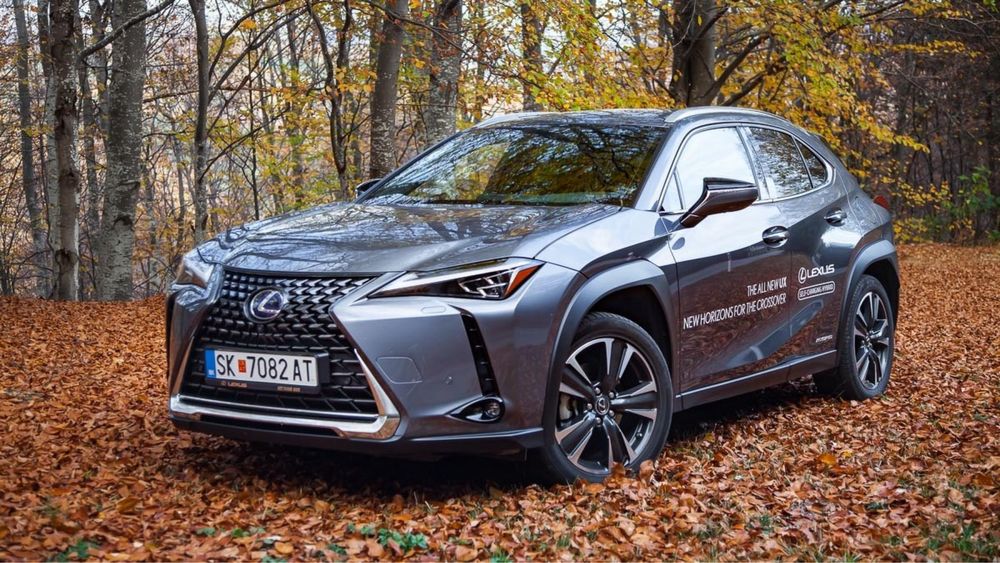 АвтоЭлектрик на выезд 12-24в