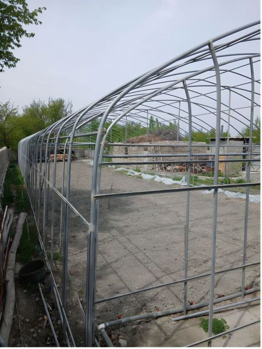 Исиқхона каркази сотилади