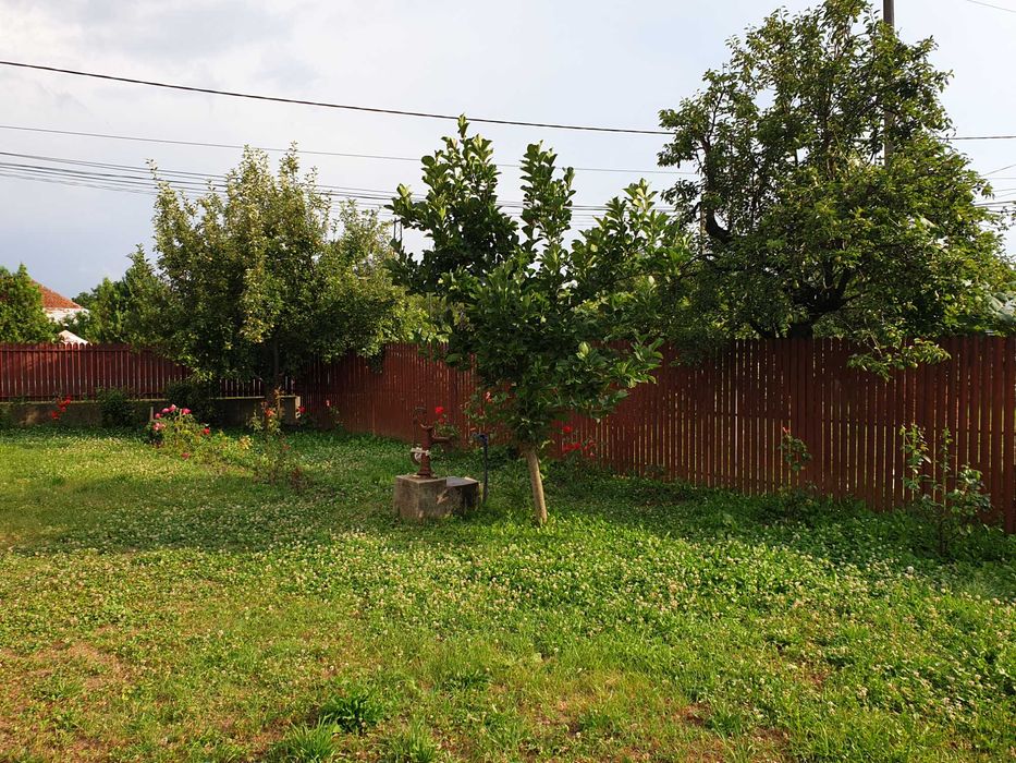 Vand doua case Stalpeni, Arges + teren arabil, 400mp + 4375mp, livada