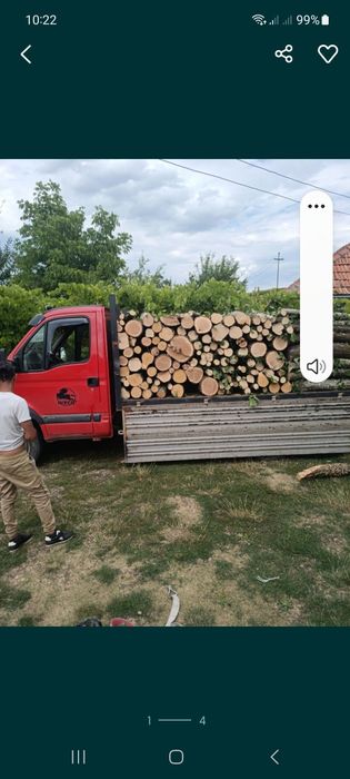 Lemn de foc esenta dorita