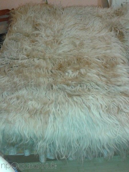 Родопско халище ..