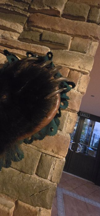 Vand Trofeu Urs brun