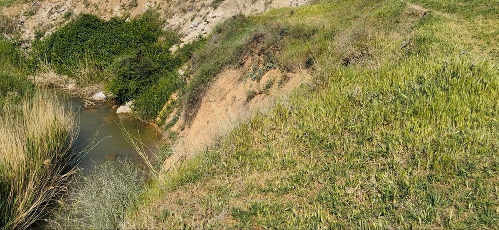 Срочно ер участок сотилади 6 соток.