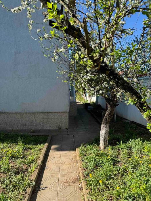 Дава се под наем Къща в с. Мировяне, Област София-град - 200 кв.м за 1390 € - Снимка #4