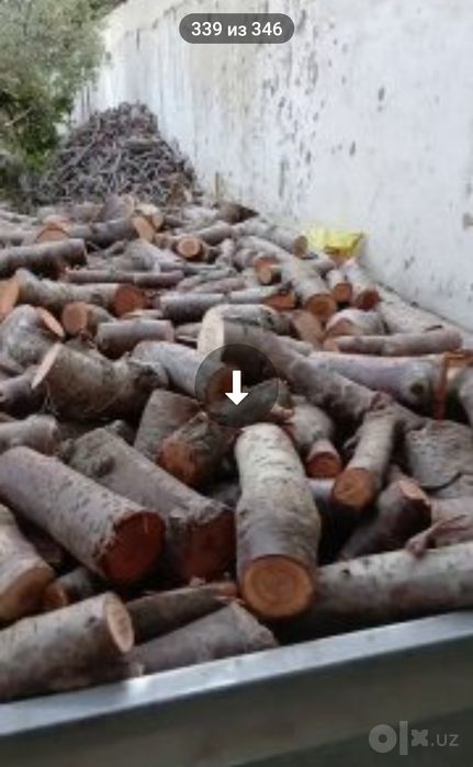 UTINGA Arzon daraht utinlari
