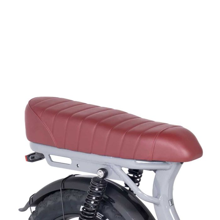 Bicicleta Electrica ApeRyder MD10PRO motor de 250W si autonomie 70KM