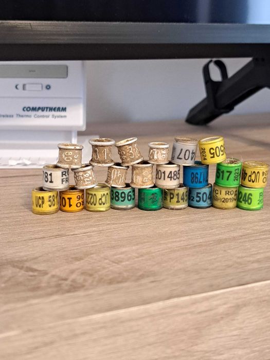 Inele porumbei diverse , din tabla si din plastic