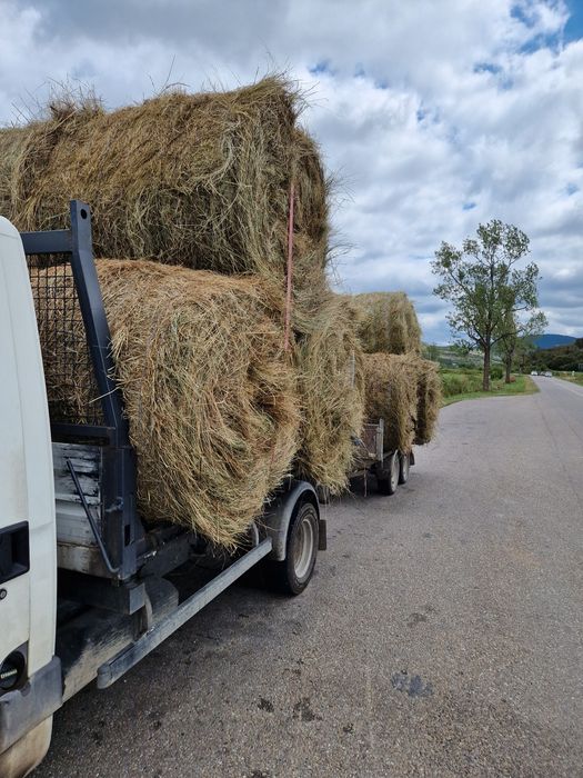 Baloți de fin 120x120