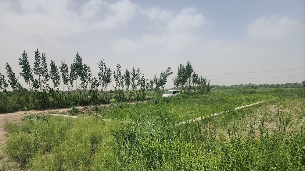 Продается земельный участок 1000кв всего в 3км от Ичан-Калы