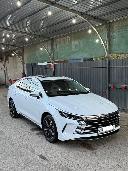 Byd chazor flagship 120 km ful