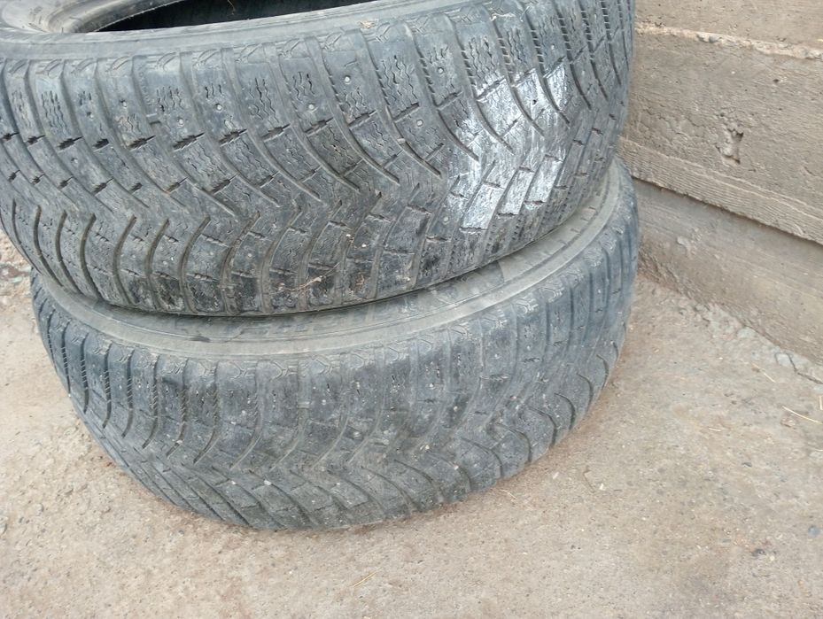 Шина Зимние 18.     .