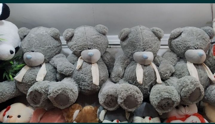 Teddy ARZON narxda