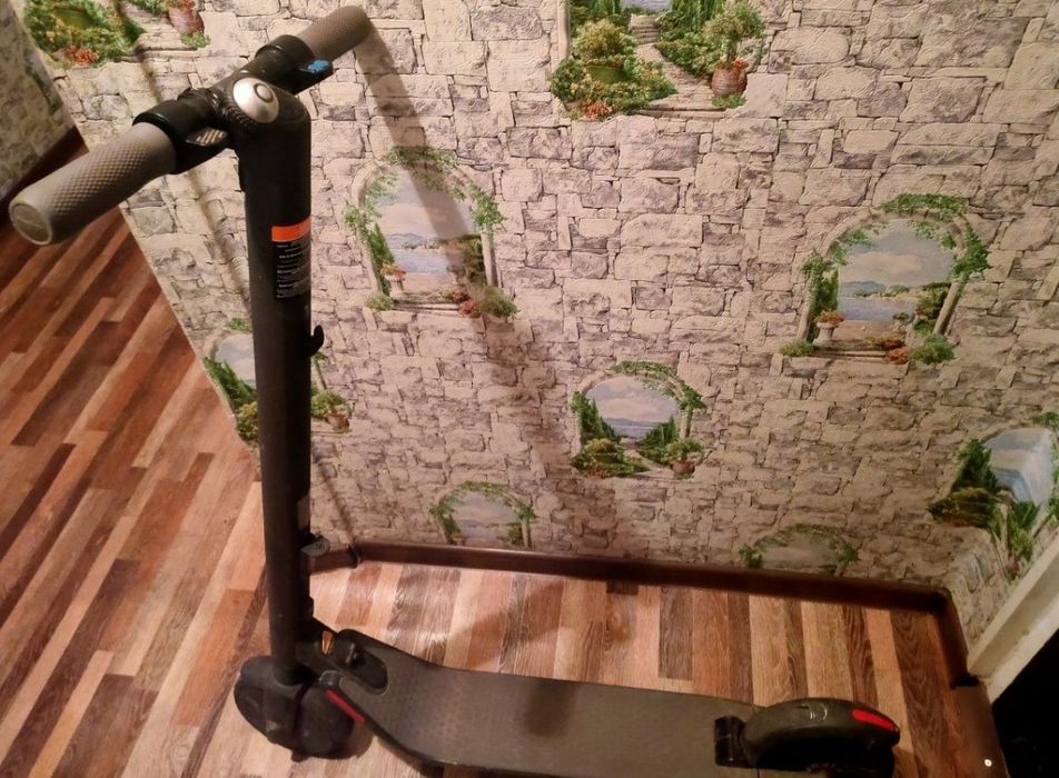 Электросамокат Ninebot by Segway ES2