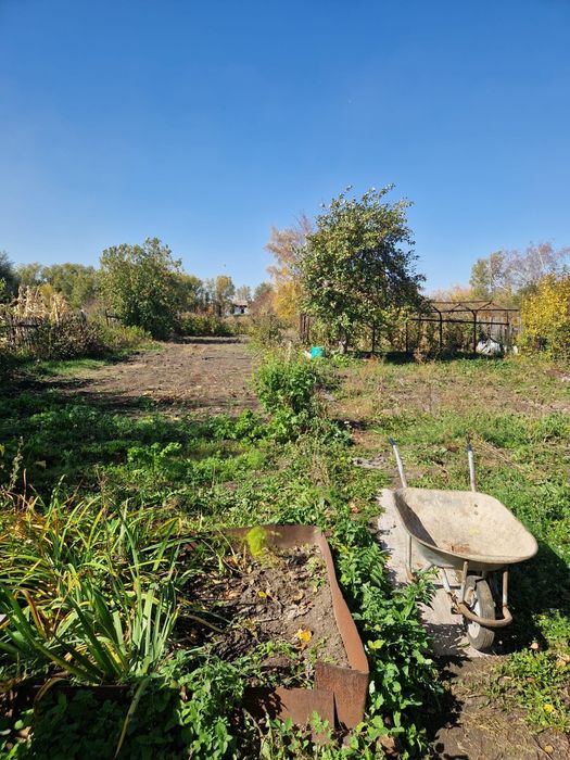 Продаю дачу Черёмушки