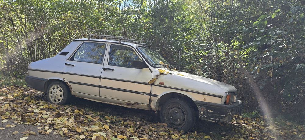 Dacia 1310 pentru RABLA