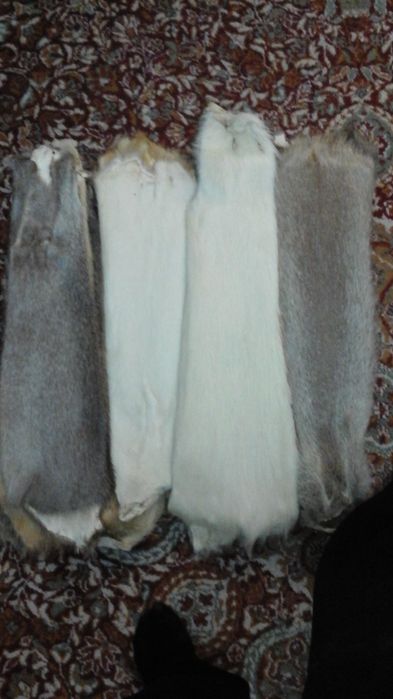 Blanuri Nutrie Diverse Culori