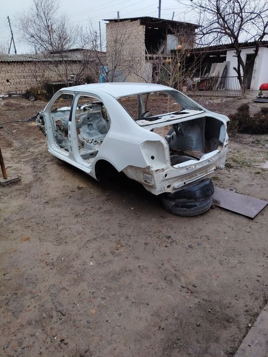 Kuzif kobilt radnoy bo'lgan orqa butun o'n tomon butun