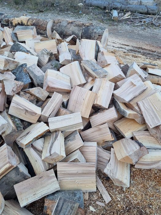 Lemne de foc fag si carpen capete uscate sau verzi 600.lei tona