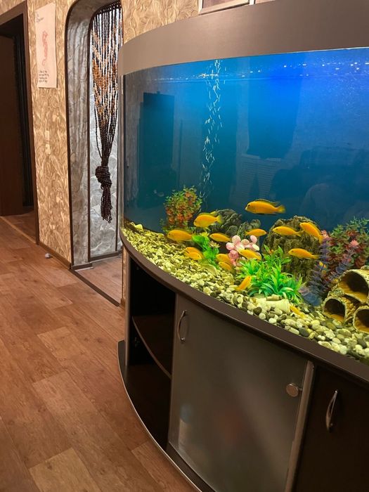 Продам большой аквариум с рыбками