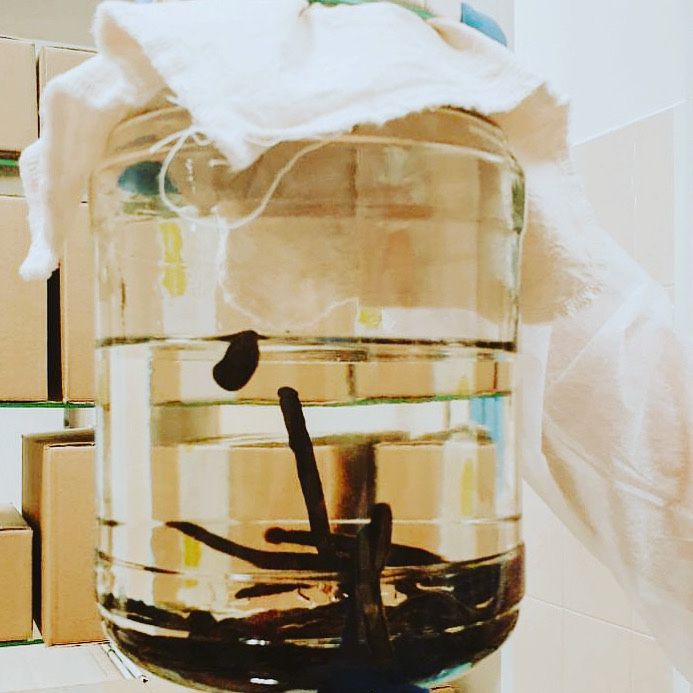 Пиявки медицинские!