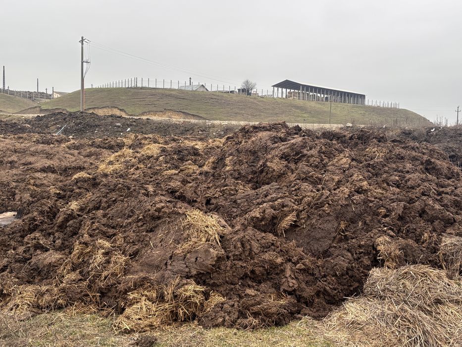 Gunoi de grajd uscat