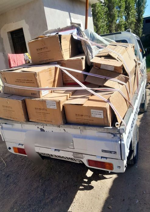 Маклатура ок когоз оламиз