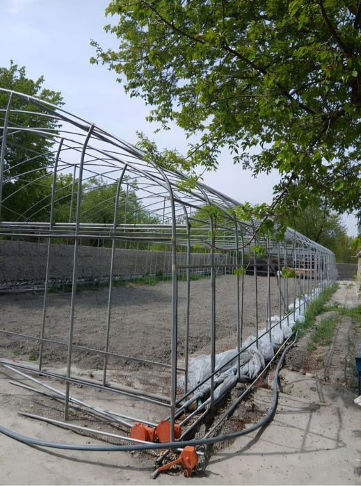 Исиқхона каркази сотилади