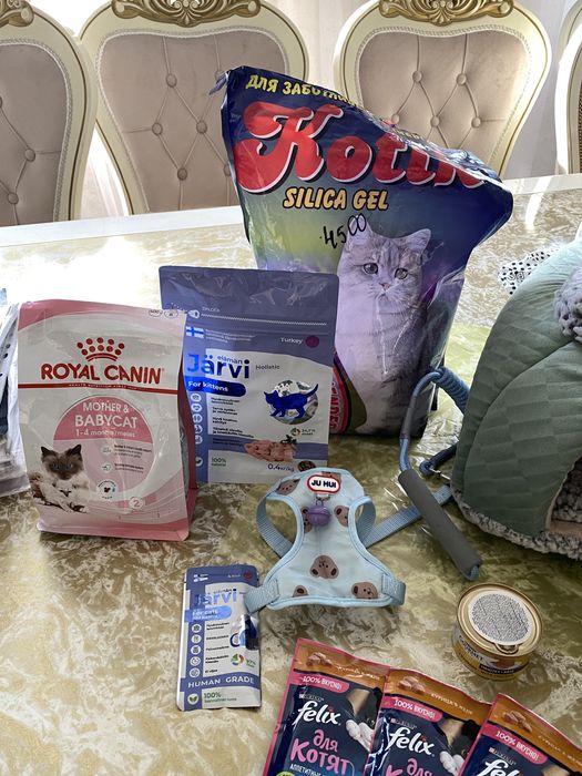 Новый домик для котенка