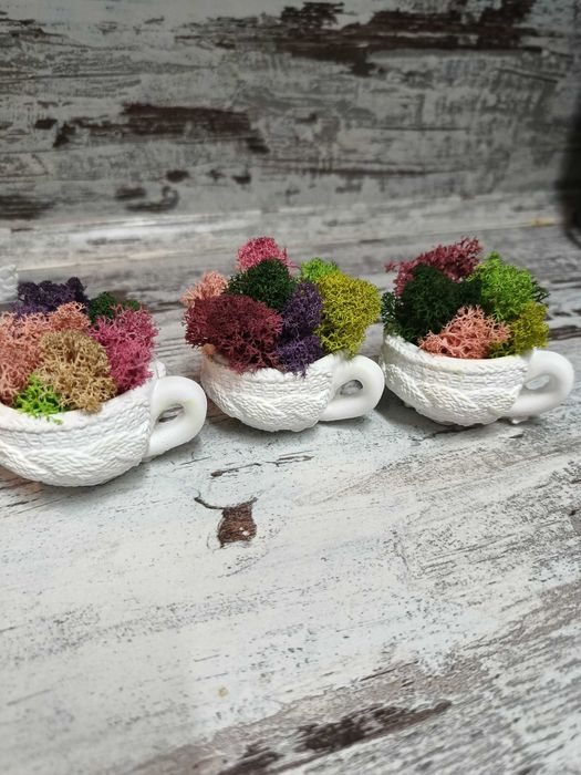Гипсови чашки със скандинавски мъх