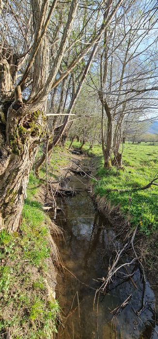 Teren superb la munte, suprafata 3000m/14euro mp