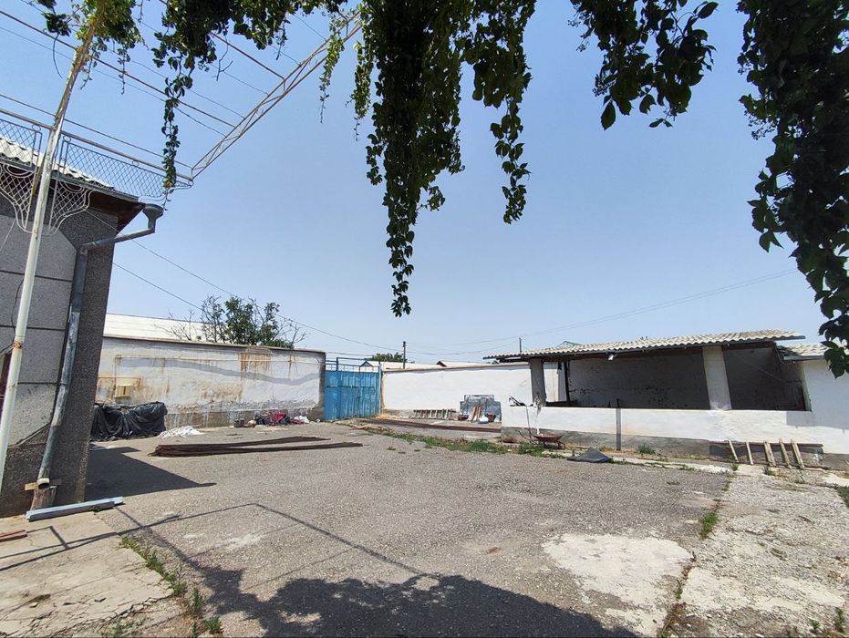 Zomindan 16 sotixli kattagina dala hovli