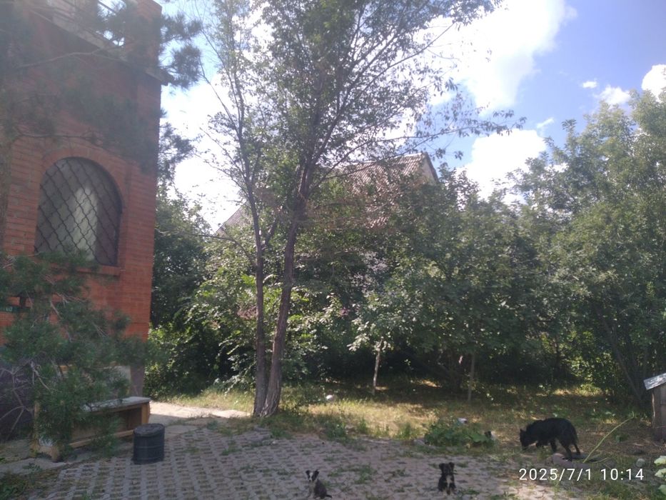 Продается коттедж на берегу озера