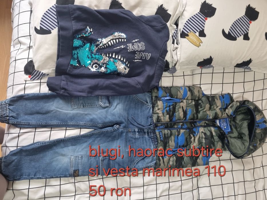 Vesta,blugi si  hanorac