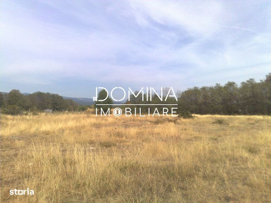 Vanzare teren intravilan 6843 mp, sat Polovragi