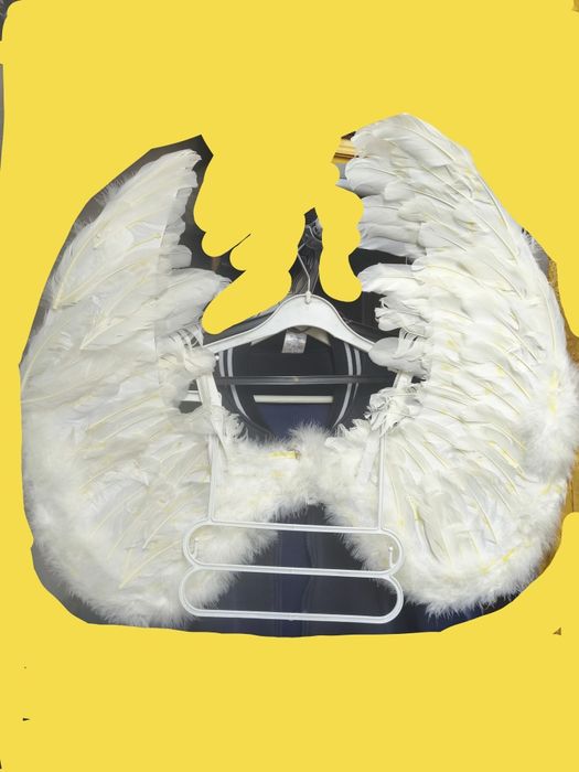 Крылья Ангела + нити из перьев