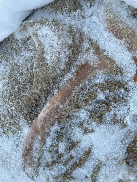 Рубец трибуха для собак