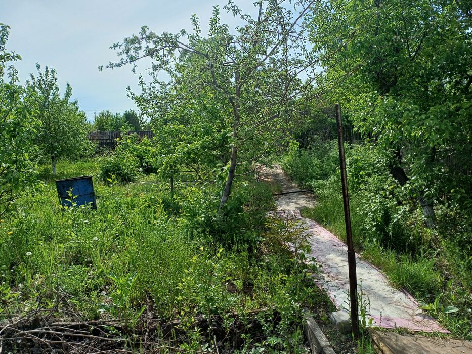 Дача сад " Мелиоратор "