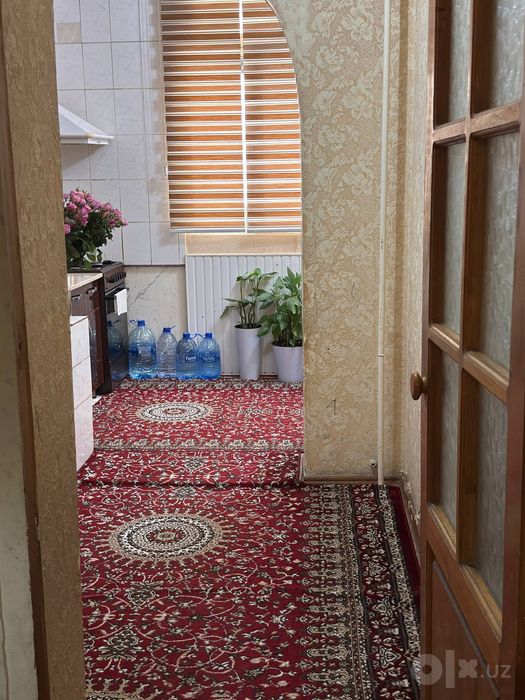 Кора Камыш 1/4    2/2/4     Орр: Бозорча Олди