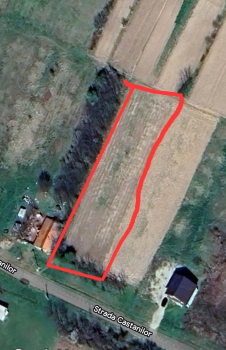 Teren intravilan Țipari