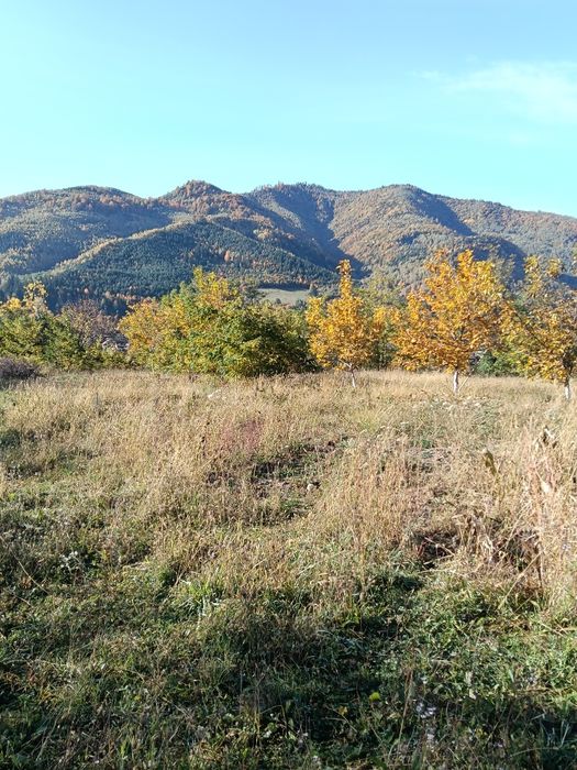 Teren intravilan Asau, Bacau