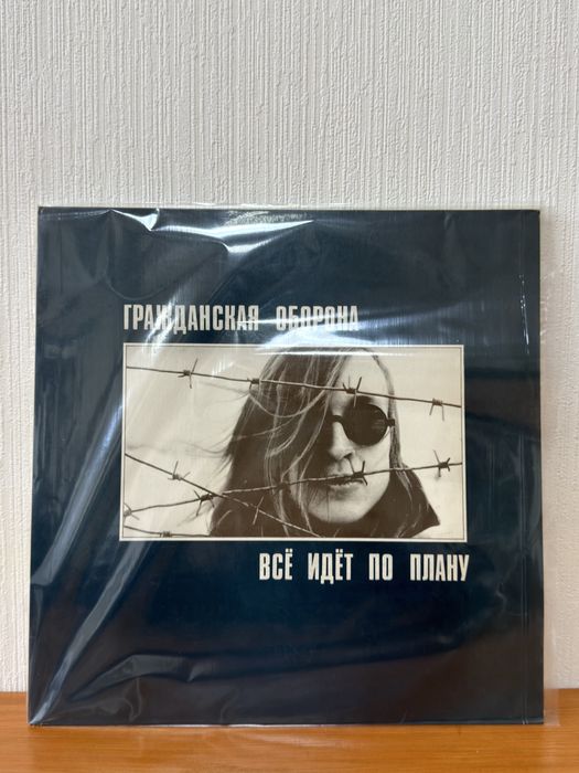 Винил Гражданская Оборона — Всё идёт по плану 2х LP