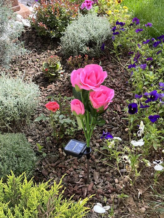 Роза на солнечных батареях