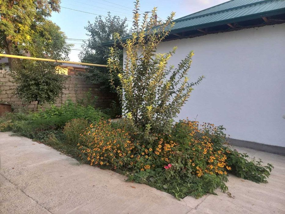 Продам свой участок, поселок Т.Г.Хван (Политотдел - Дустлик)