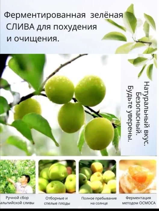 Cлива с ензимами для контроля веса