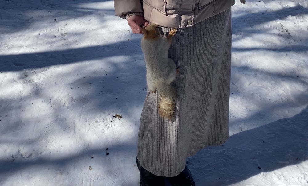 Отдам вещи (юбки, платья) длинные в пол, мусульманские