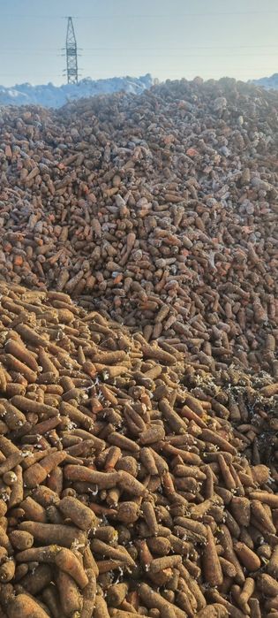 Продам неликвид моркови недорого.